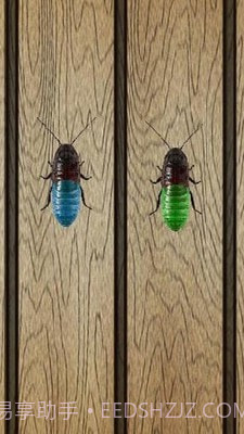 蟑螂终极淘汰赛截图4 蟑螂终极淘汰赛截图4