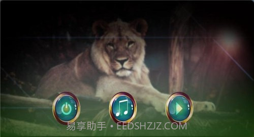 野生狮子2022截图2