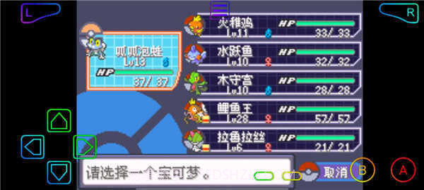 口袋妖怪绿宝石小智版截图2 口袋妖怪绿宝石小智版截图2
