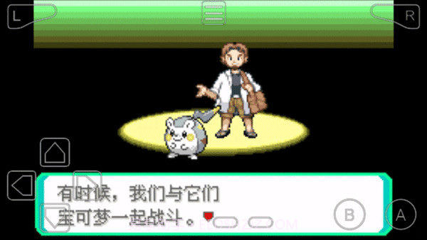 口袋妖怪究极绿宝石6.0截图3 口袋妖怪究极绿宝石6.0截图3