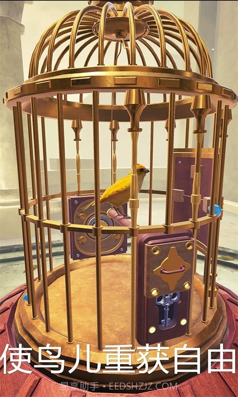 神秘的鸟笼截图5 神秘的鸟笼截图5