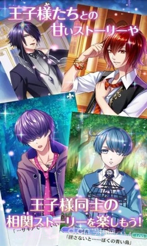 梦王国与沉睡的100王子截图2