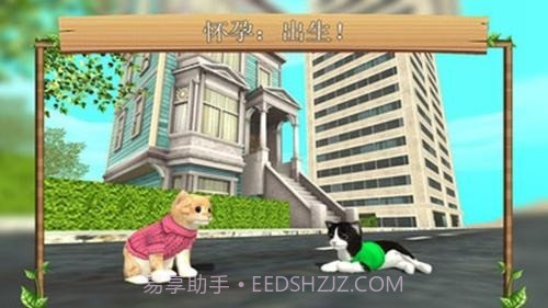 猫生活模拟器截图2 猫生活模拟器截图2