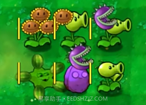 植物大战僵尸嫁接版截图1 植物大战僵尸嫁接版截图1