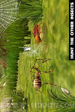 终极蜘蛛模拟器截图1 终极蜘蛛模拟器截图1