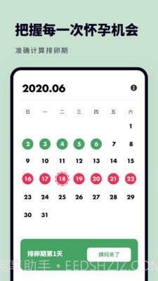 备孕怀孕助手截图2 备孕怀孕助手截图2