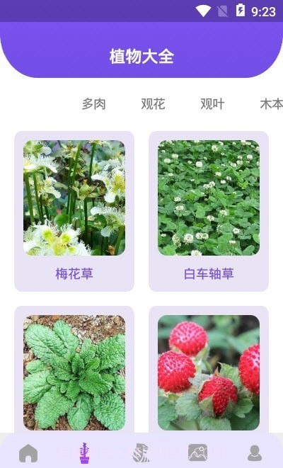 花朵识别截图3 花朵识别截图3