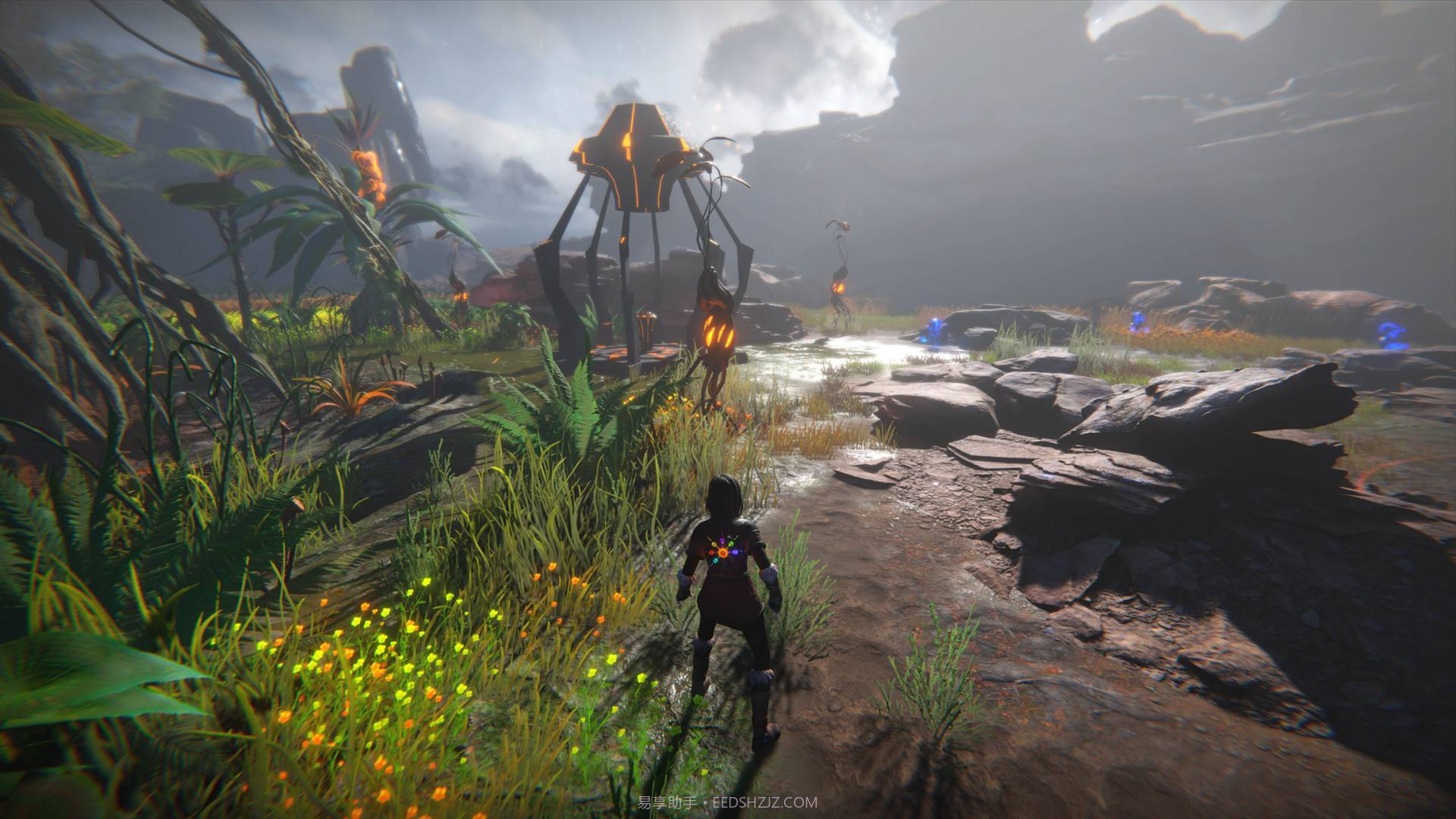 生命之种SeedofLife手机版截图6