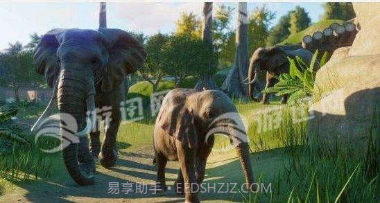 动物园之星PlanetZoo最新版截图4 动物园之星PlanetZoo最新版截图4