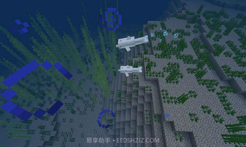 我的世界海洋官网版截图4 我的世界海洋官网版截图4