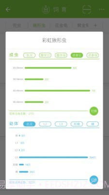 甲虫饲育者截图4 甲虫饲育者截图4