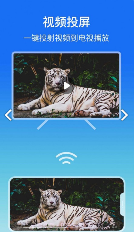 lbtp屏幕镜像最新版截图3