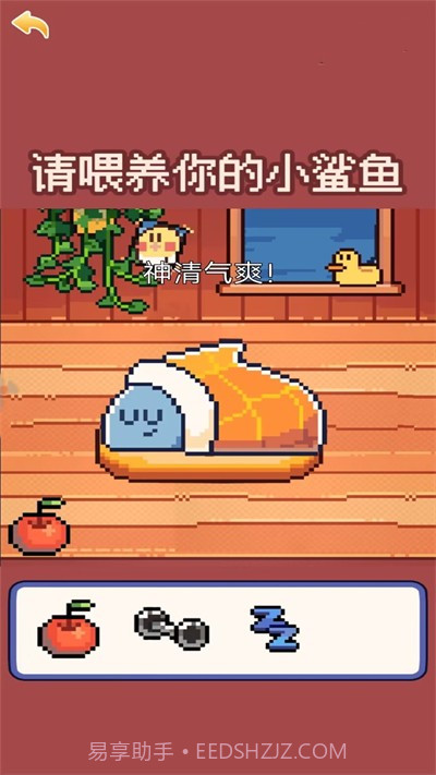 奇怪的动物截图2 奇怪的动物截图2