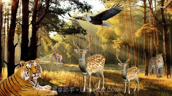 非常野生猎鹿模拟器截图4