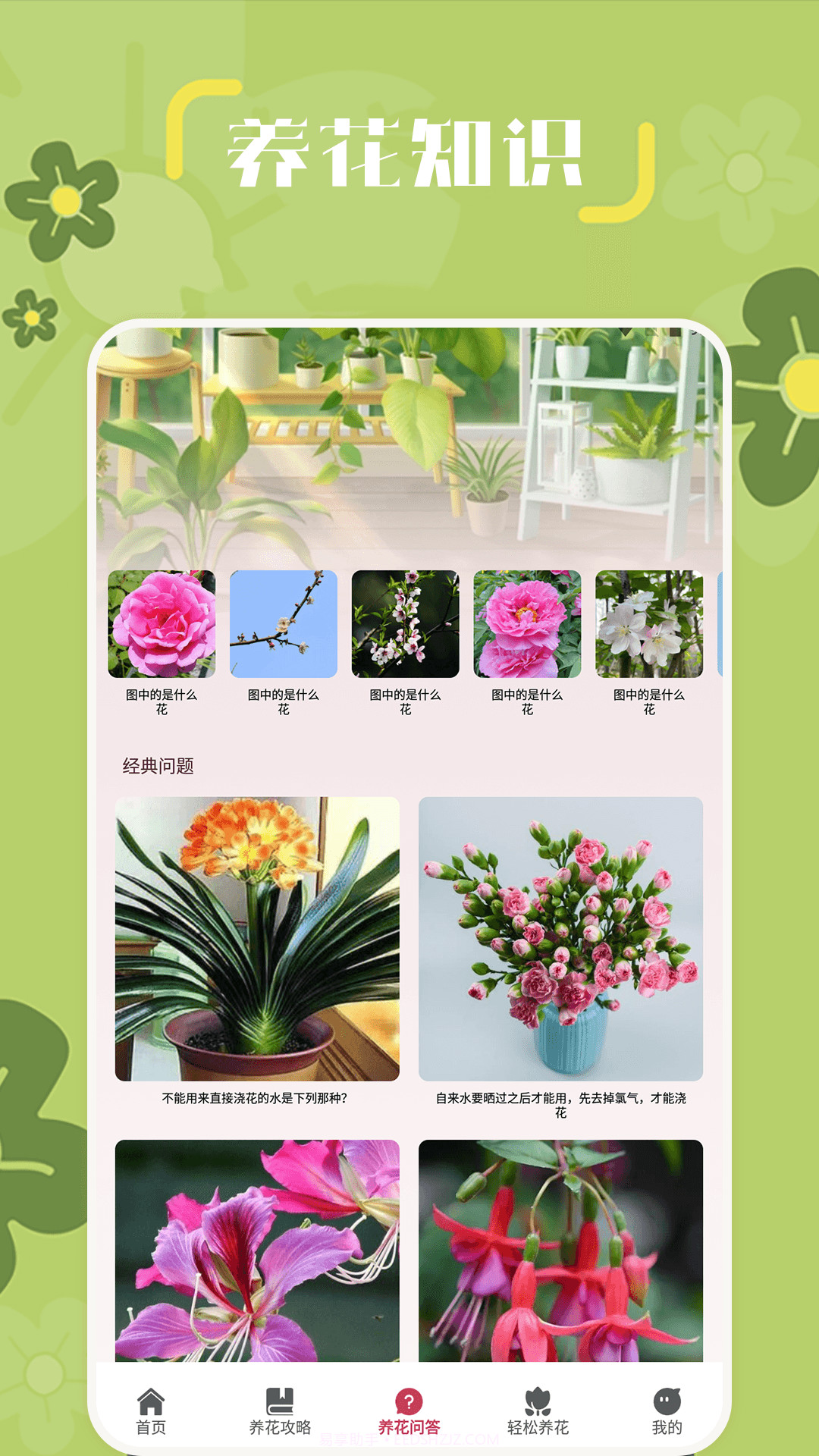 小兰君截图4 小兰君截图4