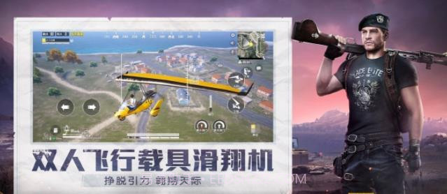 和平精英小蜜蜂助手截图1 和平精英小蜜蜂助手截图1