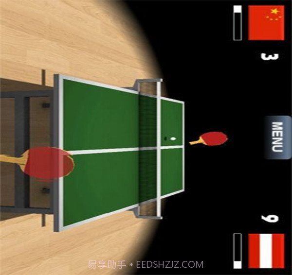 Virtual Table Tennis截图4 Virtual Table Tennis截图4