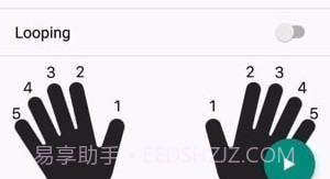 钢琴和弦与音阶截图3 钢琴和弦与音阶截图3