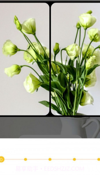 全能拼图相机截图1