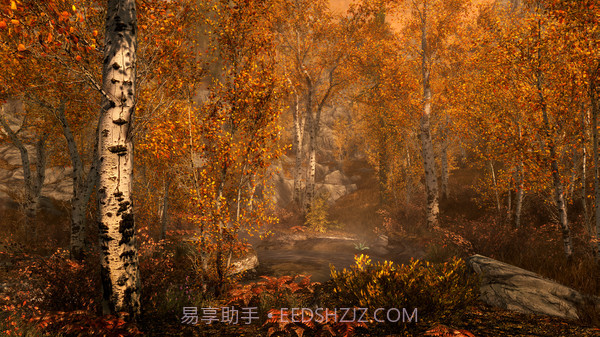 上古卷轴5截图4