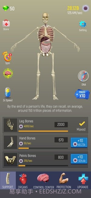 放置人类截图3 放置人类截图3