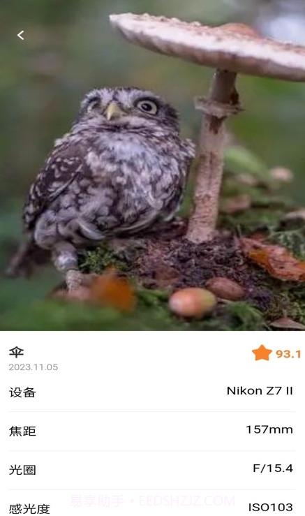 潮流秀截图3 潮流秀截图3