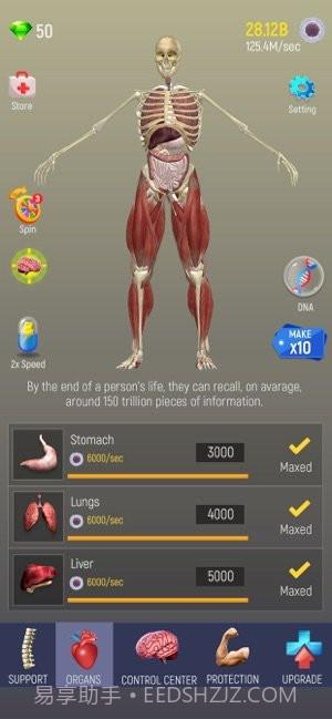 放置人类截图1 放置人类截图1