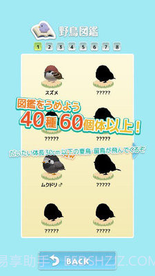 小鸟观察器截图4