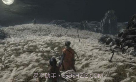 sekiro只狼联机版截图2