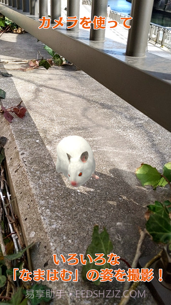 云仓鼠官网版截图4