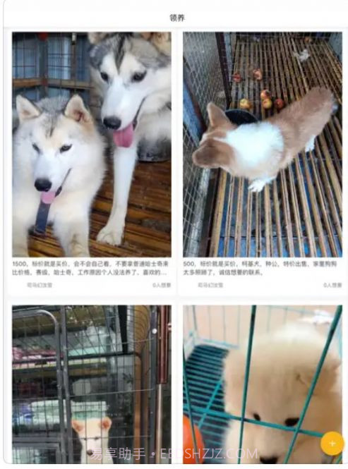 小爱宠物口令截图3 小爱宠物口令截图3