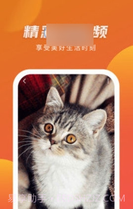 优赏短视频赚钱版截图3 优赏短视频赚钱版截图3