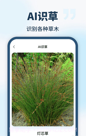 AI智能助手截图4