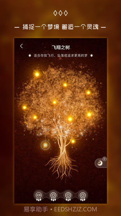 奇妙梦境APP截图4