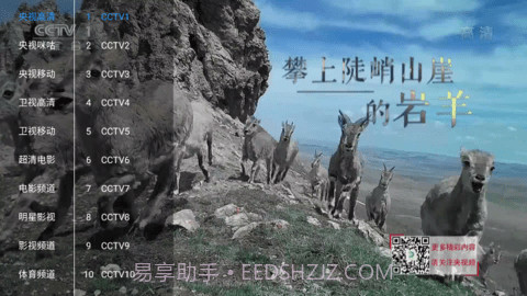 新喵影视官网版截图2