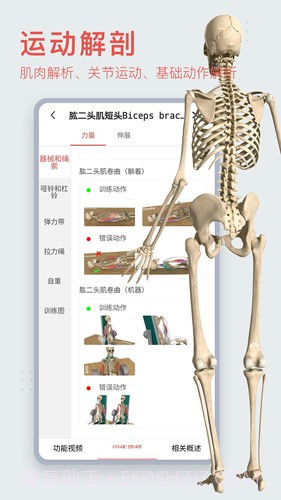 3Dbody艺用(3Dbody艺用三维人体模型)V8.4.41 安卓最新版截图1 3Dbody艺用(3Dbody艺用三维人体模型)V8.4.41 安卓最新版截图1