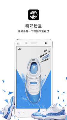 ballislove篮球下载(ballislove篮球资讯软件)V3.7.3 安卓简化版截图3