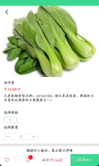 日日鲜截图3 日日鲜截图3