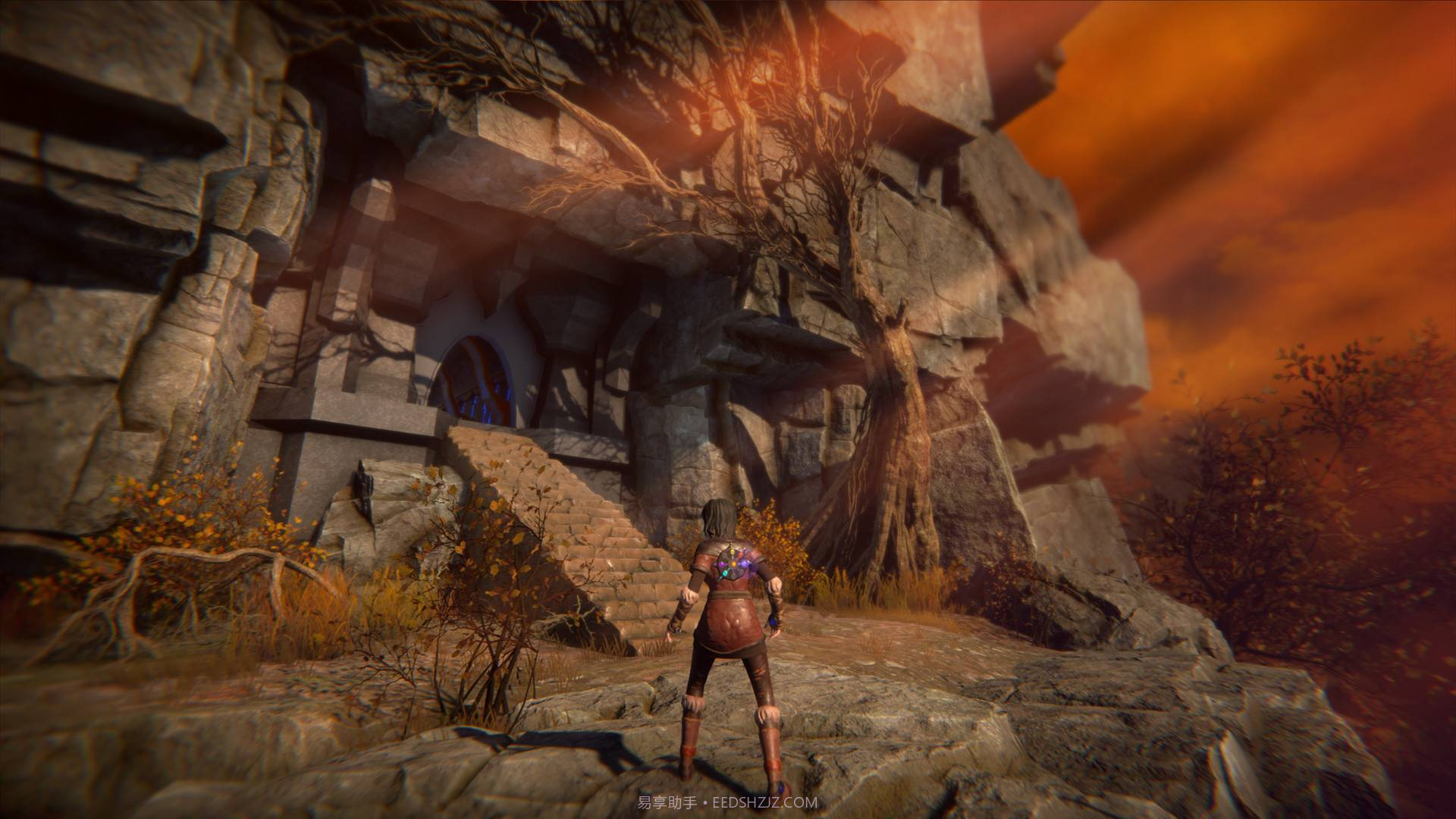 生命之种SeedofLife截图3 生命之种SeedofLife截图3