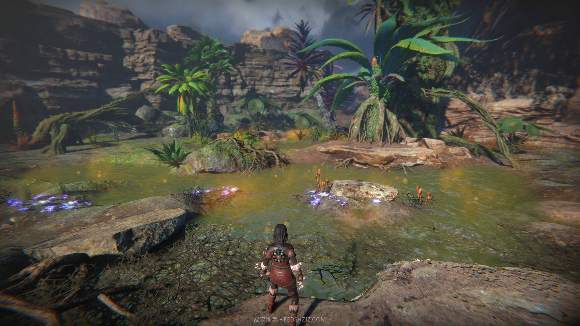 生命之种SeedofLife截图1 生命之种SeedofLife截图1