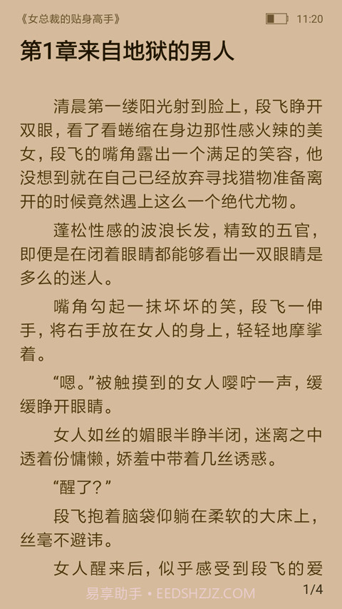 飞跃看书手机版截图4