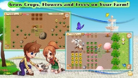 牧场物语：记忆之种汉化版截图1