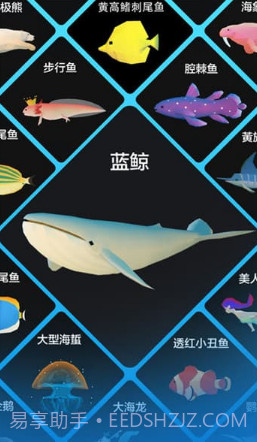 深海水族馆2019截图3