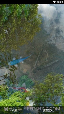 3d鱼池动态壁纸（Koi）截图1