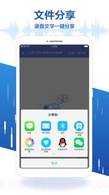 录音王转文字截图5