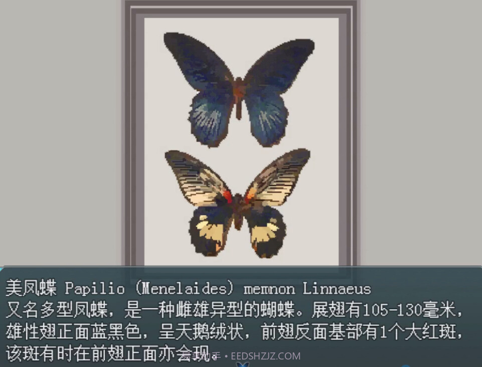 白夜博物馆免广告版截图5 白夜博物馆免广告版截图5