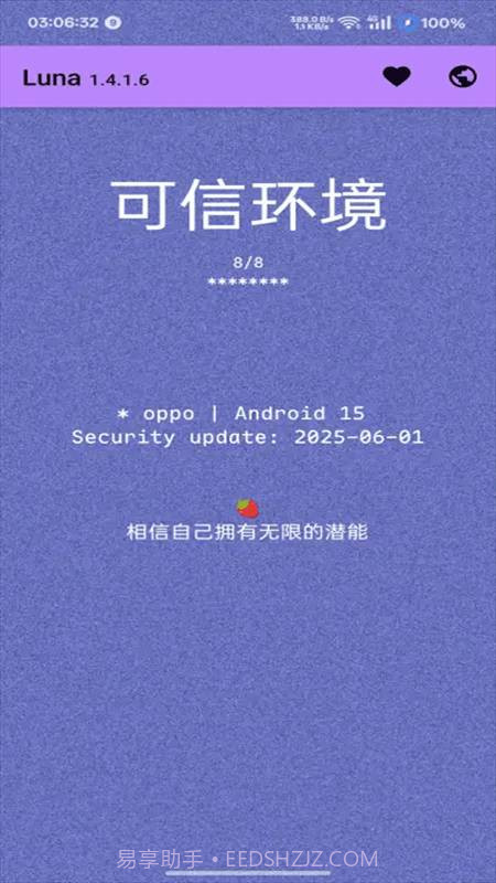 Luna环境检测工具纯净版截图3 Luna环境检测工具纯净版截图3