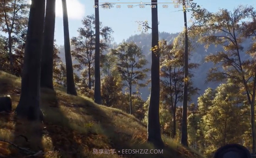 荒野猎人模拟器截图4