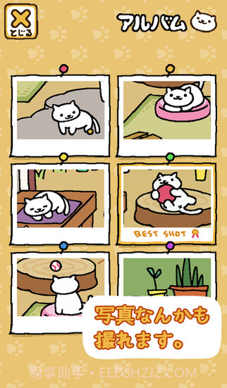 猫咪庭院截图3 猫咪庭院截图3