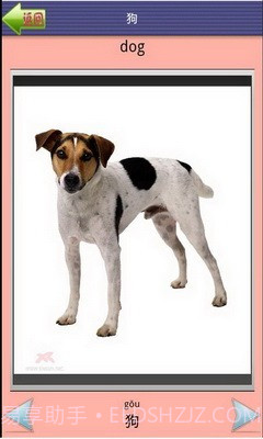 看图识字动物篇截图2